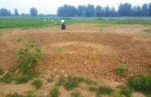 ＂巴铁＂号称投资百亿研发生产基地周口却荒草丛生
