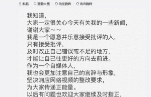 papi酱正面回应视频整改：接受批评 传递正能量