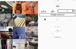 王思聪投过的App“17”火了：“晒”与“性”