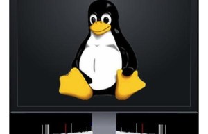 Linux系统新手入门学习的四点建议