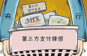 叫价三亿起 支付牌照缘何如此值钱？