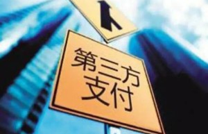 互联网金融整治风暴：支付宝们会被收编吗？