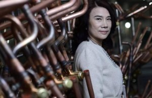 “网红”董明珠的名利场，难解格力生死局