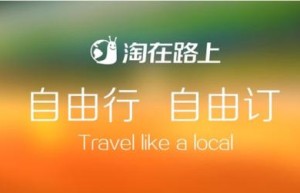 淘在路上确认破产清算 明星创业公司为何走向小败局？