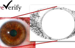 蚂蚁金服7000万美元收购美国生物验证公司EyeVerify