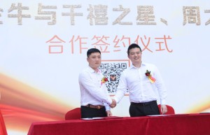 存金牛与千禧之星携手共筑黄金新时代