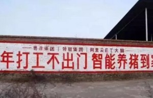 浅橙科技：产业互联大潮，金融科技助养殖业科技化