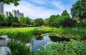 景观配套双一流 典藏版“私家公园”洋房住区来了