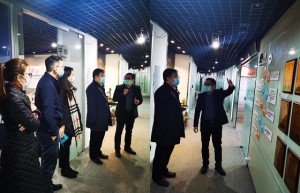 共同战疫，上海市团市委副书记刘伟等一行莅临罗威指导工作