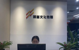 成都臻誉文化传媒有限公司2022乘风破浪