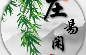 庄易闲个人简介