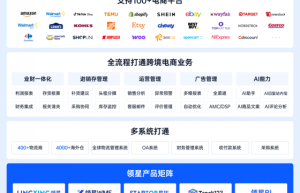 2025跨境SaaS行业报告：领星ERP市场占有率第一！