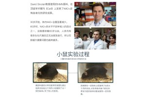 带您了解新加坡 DKMILVS NMN不为人知的秘密，DKMI