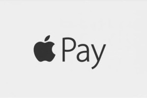 入华一个多月 看Apple Pay如何“马”口夺食