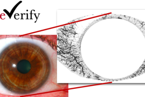 蚂蚁金服7000万美元收购美国生物验证公司EyeVerify