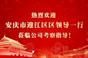 安徽省安庆市迎江区委常委、宣传部长徐佳一行莅临安徽冲鸭科技有限公司考察指导