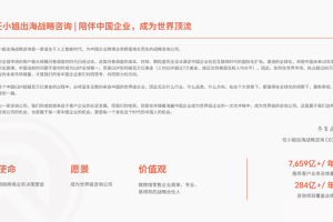 把握跨境零售新格局，任小姐出海战略咨询发布《2025年跨境电商品类研究报告》