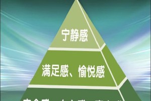 响应“育心”号召，盘古树教育交出创新答卷——“儿童思维程序学”如何在家庭中落地生根