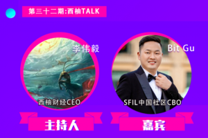 对话SFIL CMO Bit Gu：在数据存储时代扬帆起航 SFIL心中的星辰与大海