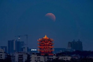 记得抬头！2026年“头号天象”要来了