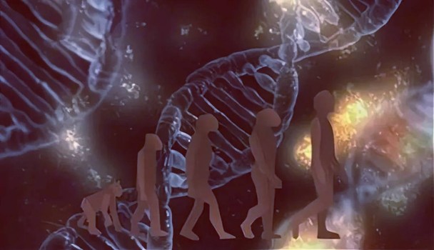 人类还在进化？种种迹象表明，人类的进化从未停止