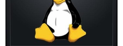 Linux系统新手入门学习的四点建议