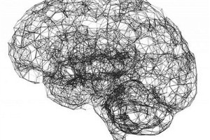 英首次在大脑发现＂智力网络＂：理论上可调控基因提升智力