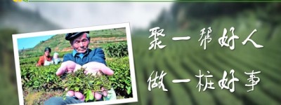 黔中生态茶交易中心助力“黔茶出山”打造500亿级茶产业